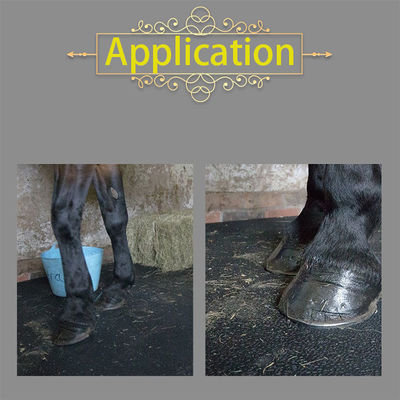 Wholesale Horse Stall Mats With Most Complete Sizes 12mm 17mm 22mm 25mm Available