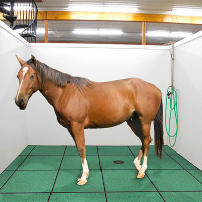 Rubber Horse Stable Mats Heavy Duty 500 X 500 X 30mm Equine Hammer Top Strong Adhesion On The Back