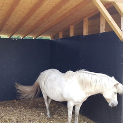 8 X 6ft X 4ft X 10mm Eva Wall Lightweight And Portable Horse Stall Wall Mat