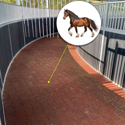 Farm Colorful Rubber I Beam Tiles Dog Bone Mats Horse Walker Mats